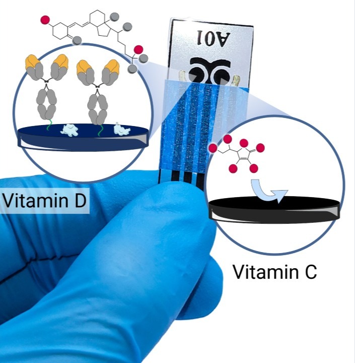 The chip contains two sensors, each of which uses electric current to detect a vitamin. @ Martins, Thiago S. et al/ACS Applied Nano Materials