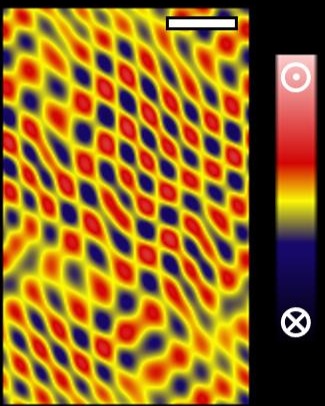 The measured domain pattern of the 'incommensurate spin crystal' phase. @ University of Warwick