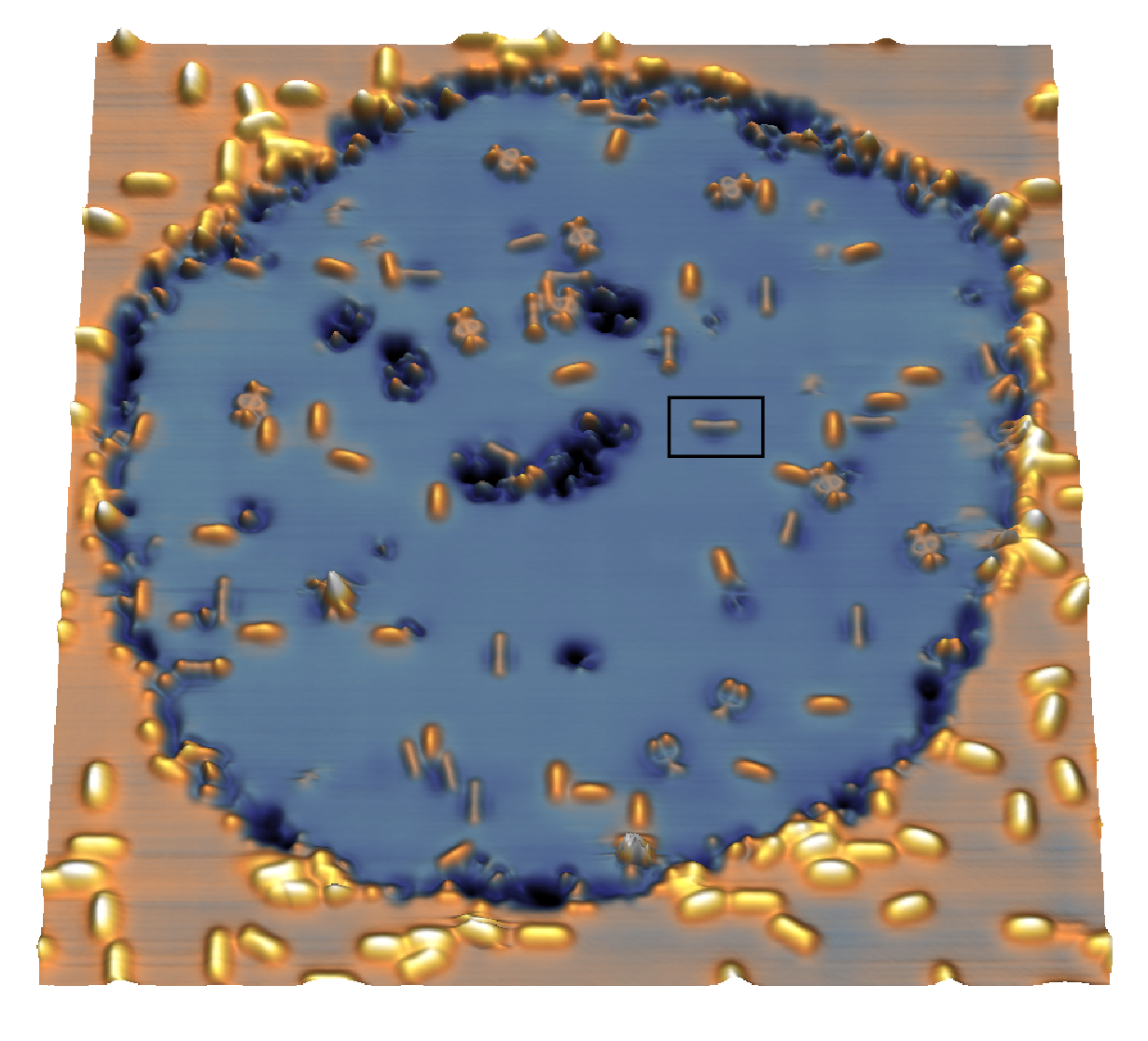 Single pentacene molecules (yellow) on the insulating layer (blue). @ ETH Zürich / Aishwarya Vishwakarma and Stepan Kovarik