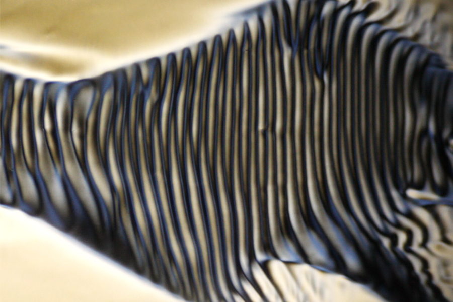 MIT engineers observed that a liquid crystal’s orderly microstructures will spontaneously assemble into large, twisted structures (pictured) when the liquid is made to slowly flow. @ MIT
