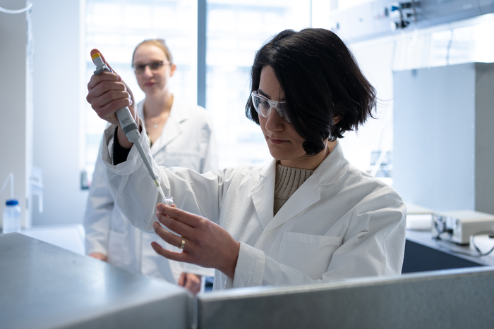 Dr. Mahnaz Azimzadeh Sani and Dr. Julia Linnemann (from right) are part of the team that found unexpectedly high electrochemical capacities on individual gold and platinum nanoparticles. @ RUB, Kramer