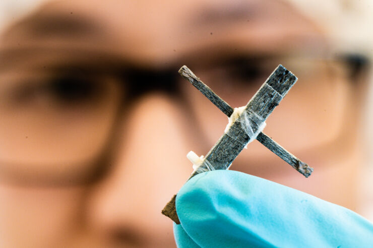 The researchers used this to build the wood transistor and could show that it is able to regulate electric current and provide continuous function at a selected output level. @ Thor Balkhed