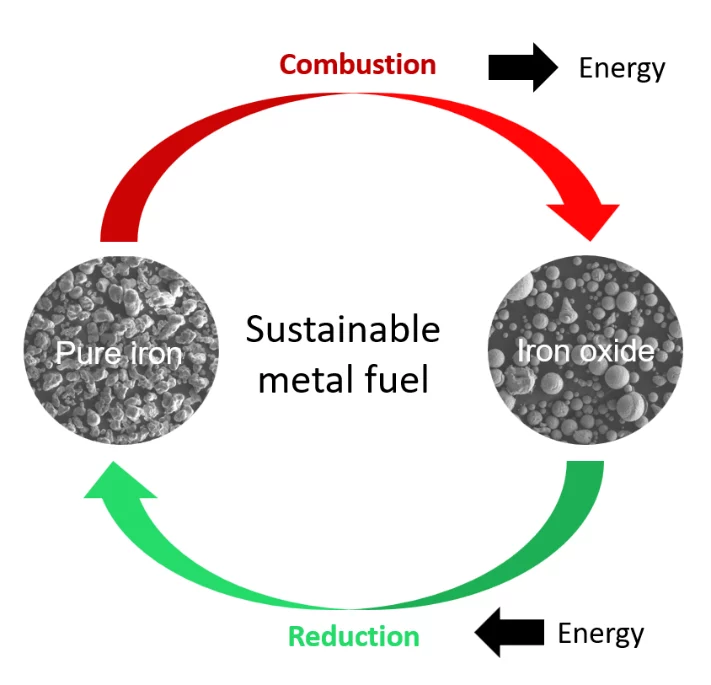 Energy is stored while reducing iron oxide to iron. Energy is freed while combusting iron back to iron oxide. Optimizing this process could lead to a fully circular, thus sustainable storage of energy. @ Laurine Choisez, Max-Planck-Institut für Eisenforschung GmbH