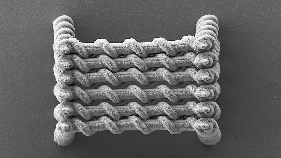 SEM image of the twisted magnetic tubes.