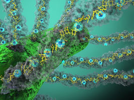 Light accelerates conductivity in nature’s ‘electric grid’