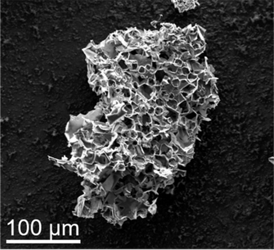Pores in this micron-scale particle, the result of pyrolyzing in the presence of potassium acetate, are able to sequester carbon dioxide from streams of flue gas. @ Tour Group