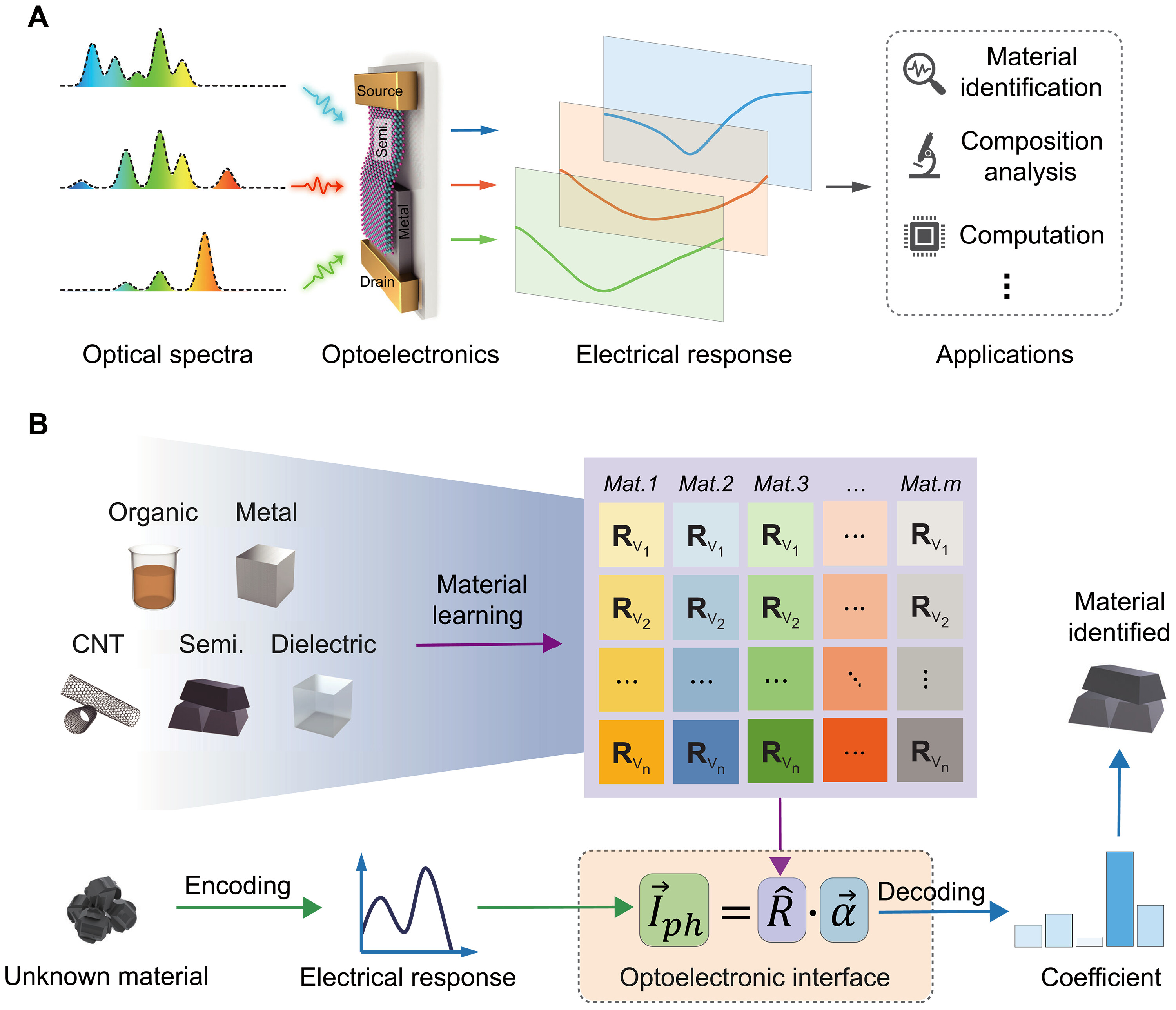 (A) Our compact optoelectronic interface generates distinguishable electrical responses from diverse input optical spectra. The sensing and identifying of these spectra are applicable for material identification, composition analysis, and potential computation. (B) Application examples of complex spectral sensing for material identification. The electrical response of the unknown material is encoded from its optical spectroscopic signal through our optoelectronic interface. Then, the electrical signal is analyzed alongside a database of prelearnt materials using a computational algorithm, enabling the identification of the unknown material. Mat., material; CNT, carbon nanotube; Semi., semiconductor. @ Aalto University / Science Advances