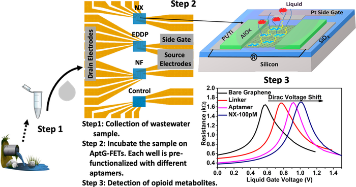 Developed by researchers at Boston College, Giner Labs and Boston University, the graphene electronic multiplexed sensor (GEMS) platform enables the simultaneous sensing of four different target opioid-derived molecules in waste water samples. @ ACS Nano
