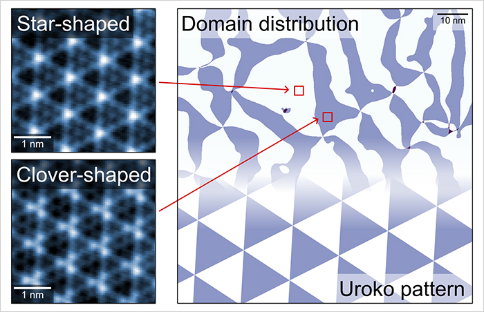 Distribution of domains characterized by star-shaped and clover-shaped CDW structures observed within NbSe2. The domain distribution pattern somewhat resembles urokomon, a decorative motif resembling the scales of a fish or reptile often found in traditional Japanese art and crafts. @ National Institute for Materials Science