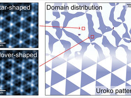 Alternating triangular charge density wave domains observed within a layered superconducting compound