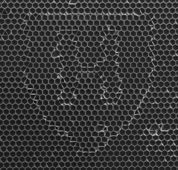Researchers encoded patterns and designs into the material by making tiny, invisible tweaks to the geometry of the triangular lattice. @ (Image courtesy of Shucong Li/Bolei Deng/Harvard SEAS)