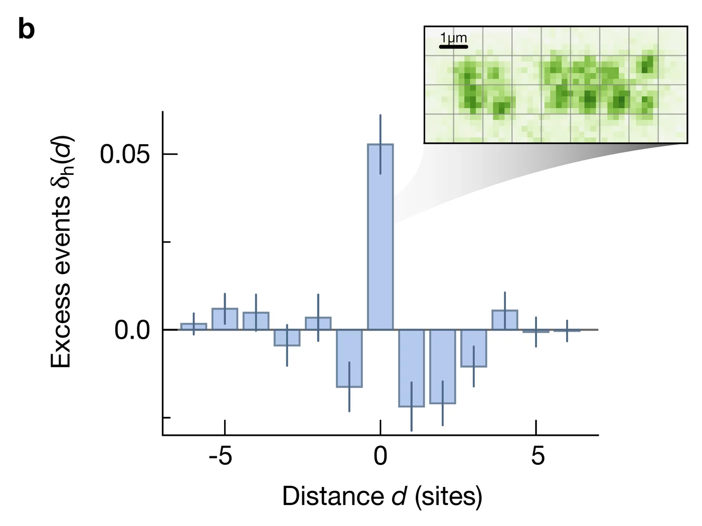 The graph shows an experimentally measured hole distribution, with a clear maximum at distance d=0, which corresponds to two neighbouring holes and shows that the holes pair. In the inset, an exemplary experimental image of our quantum gas microscope with neighbouring holes at distance d=0. Each green spot is the signal of a single atom. @ MPQ