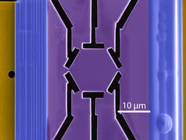 When the music changes, so does the dance: Controlling cooperative electronic states in Kagome metals