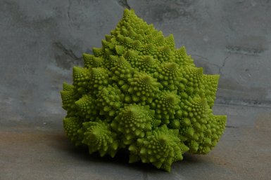 Fractal structures can also be found in nature. @ Utrecht University