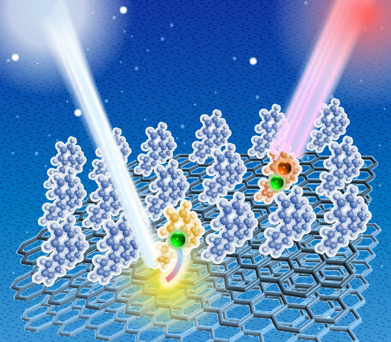 Triphenylene (TP) molecules adsorbed on an upright configuration on a graphite substrate. The TP molecule electrons were precisely observed using two-photon (2PPE) photoemission spectroscopy, scanning tunneling microscopy, and low-energy electron diffraction. @ Masahiro Shibuta, Osaka Metropolitan University