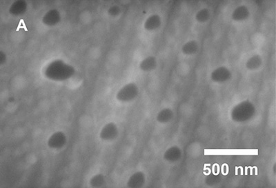 Scanning electron microscopy of the composite shows aluminum nanoparticles in a matrix of gallium. @ Amberchan et al.