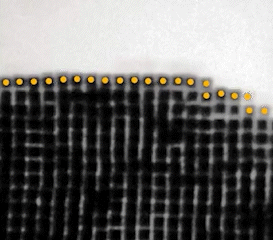 Liquid-phase TEM video of layer-by-layer growth of a crystal with smooth surface from gold concave nanocubes. Surface particles on the growing crystal are tracked (center positions overlaid with yellow dots). @ Northwestern University