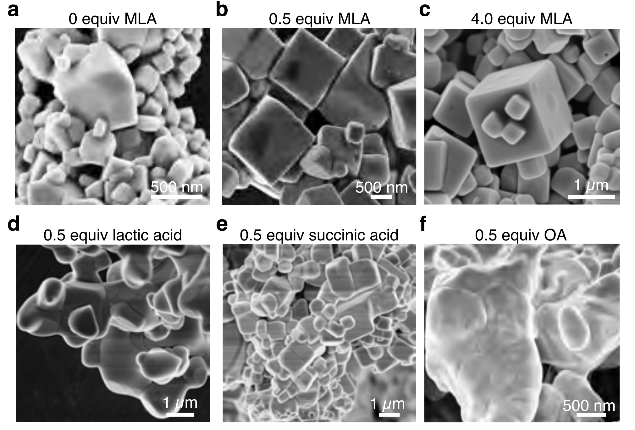 The first challenge. Electron microscope images of experimental samples using different chemical combinations. @ Nakamura et al.