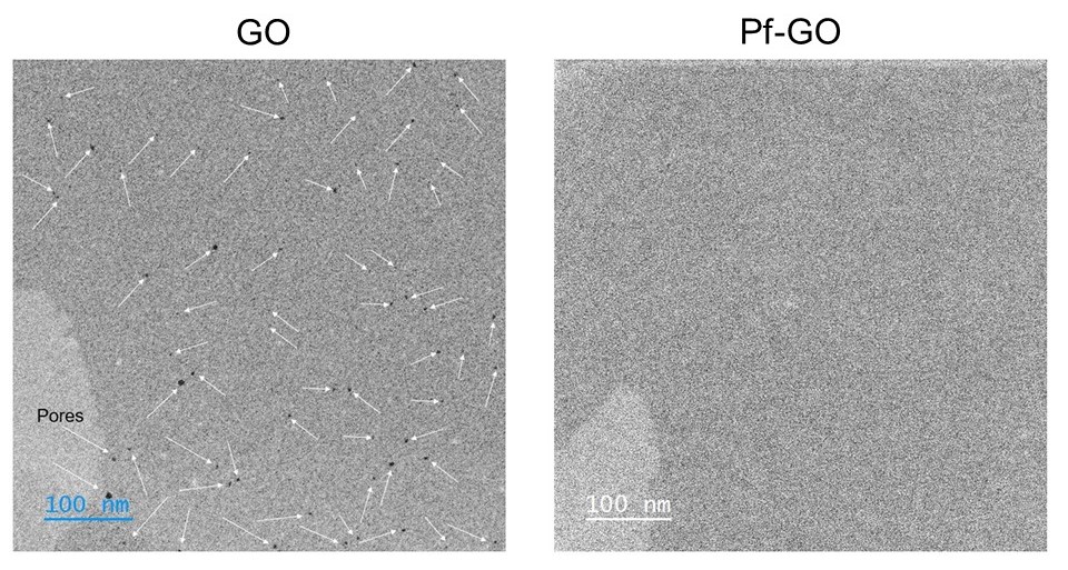 Numerous pores were observed in GO (indicated by white arrows). In contrast, no pores were visible in Pf-GO, even under high magnification. @ Kumamoto University
