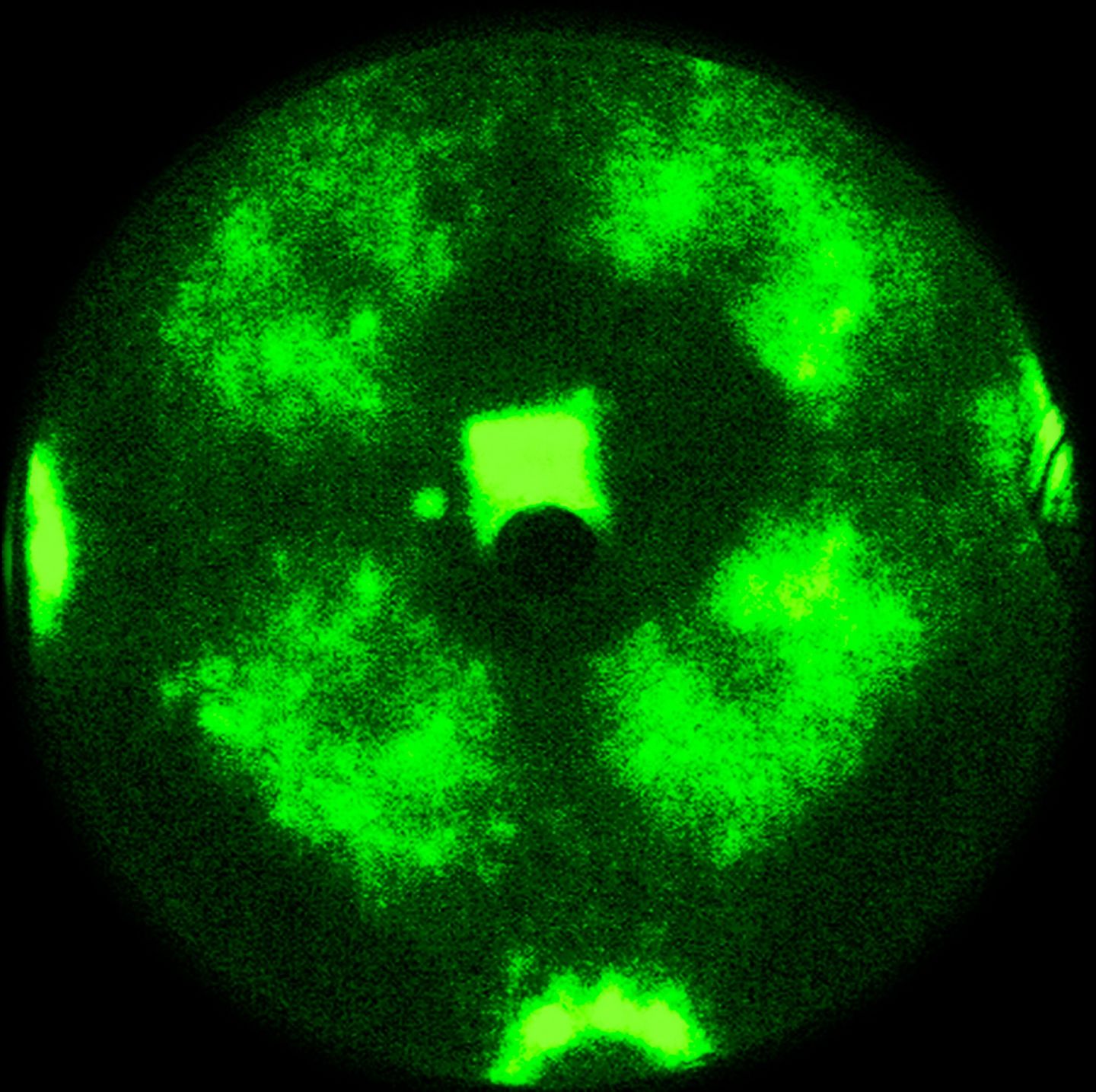 The chemical reaction moves across the nanoparticle like a wave