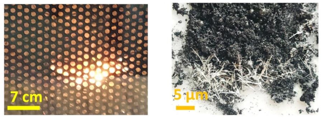 Hair-shaped structures of molybdenene (right) are formed in the microwave (left). @ Sahu, T.K., Kumar, N., Chahal, S. et al, Nat. Nanotechnol. (2023)
