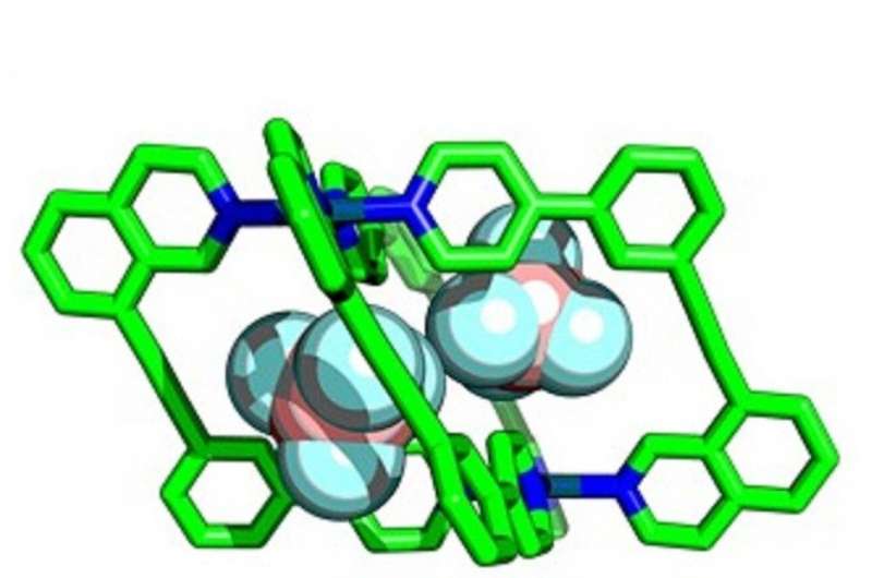 One of the team’s 'wonky' cages, binding two guest molecules of the anion tetrafluoroborate (BF-4) inside the cavity. @ Imperial College London