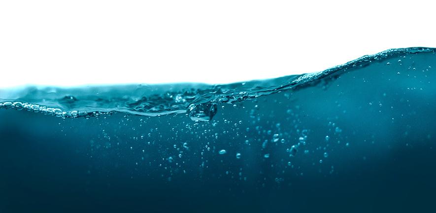 @ Daniel Sonoca via Unsplash