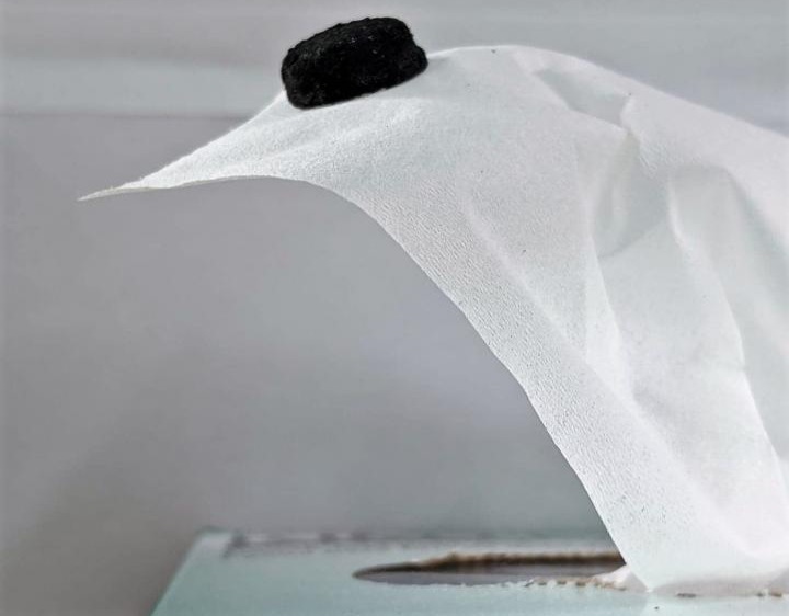 Graphene aerogel on a single tissue. @ University at Buffalo