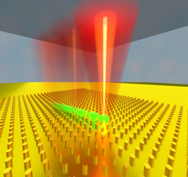 Low frequency electrothermoplasmonic tweezer device rendering @ Ndukaife
