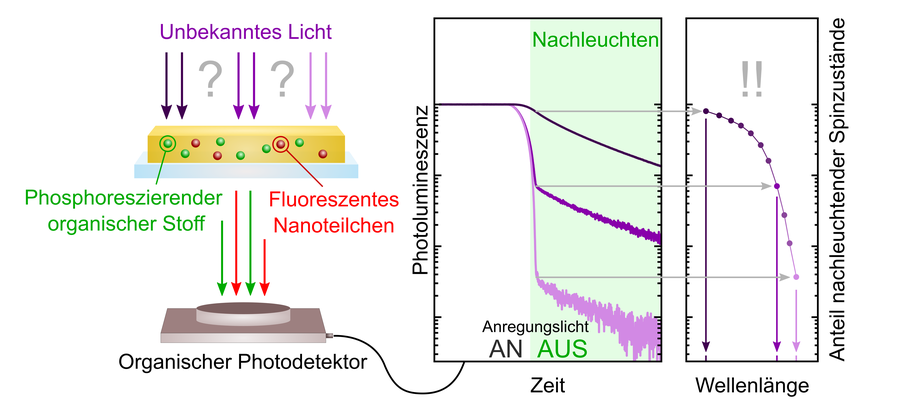 Concept of wavelength sensing by exciton-spin mixing: An unknown wavelength excites a long- and a short-lived emitter species and creates an unambiguous afterglow transient. @ Anton Kirch