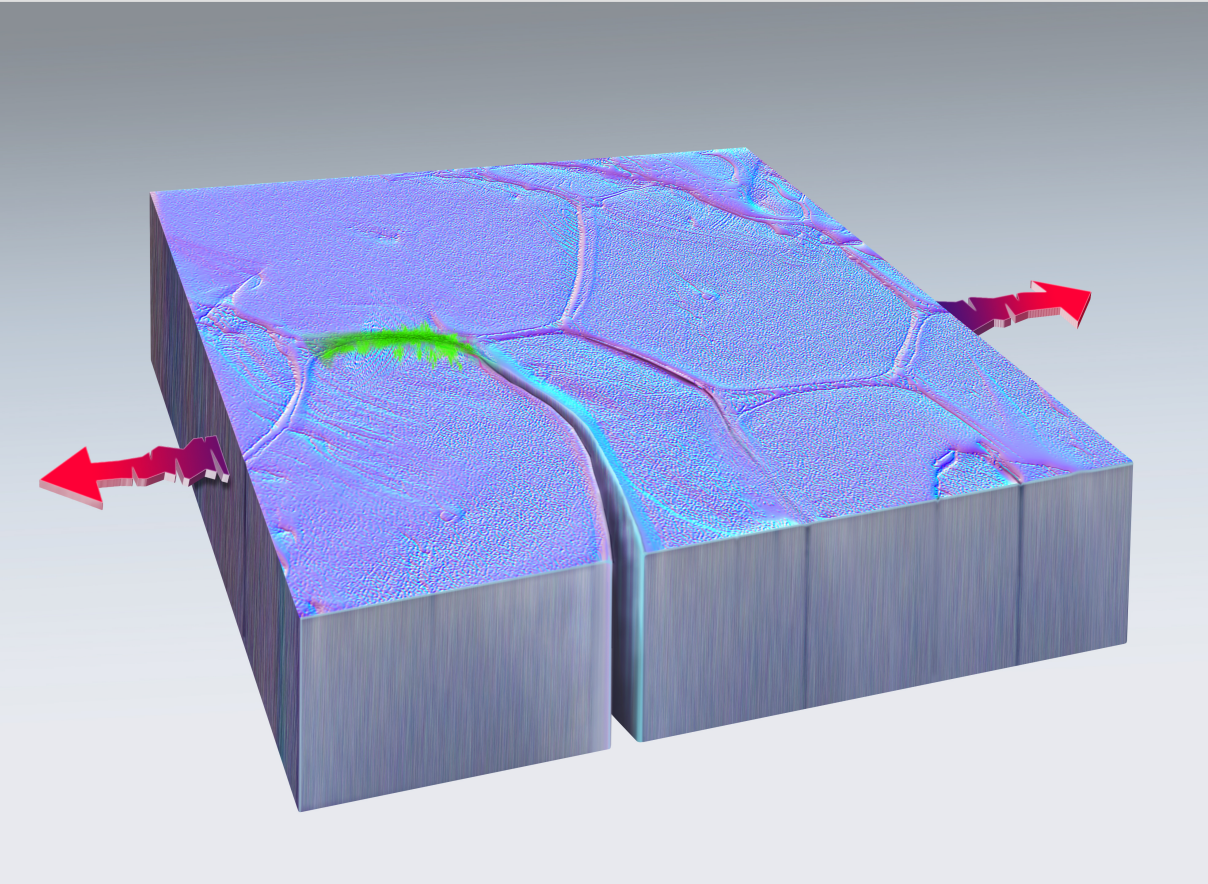 Green marks the spot where a fissure formed, then fused back together in this artistic rendering of nanoscale self-healing in metal, discovered at Sandia National Laboratories. Red arrows indicate the direction of the pulling force that unexpectedly triggered the phenomenon. @ Dan Thompson