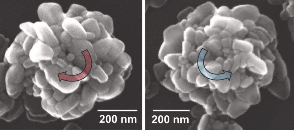 Scanning electron microscope (SEM) image of nanohelicoids formed using left helical light and right helical light respectively. @ Kim et al. 2024.