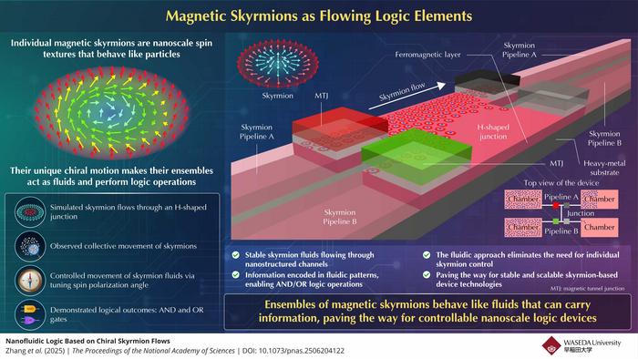 Schematic illustration showing how nanoscale magnetic skyrmions flow through an H-shaped junction to perform logic operations. The device demonstrates fluid-like collective behavior of skyrmions in tiny magnetic channels, enabling controllable nanoscale computing. @ Professor Masahito Mochizuki and Assistant Professor Xichao Zhang from Waseda University, Japan