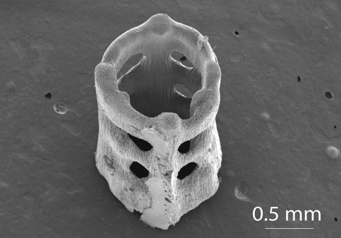 The researchers’ custom resin and computational techniques allow true 3D printing with a single laser exposure. @ Lin et. al. Science Advances (2026)