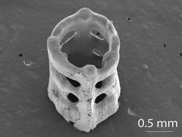 The researchers’ custom resin and computational techniques allow true 3D printing with a single laser exposure. 