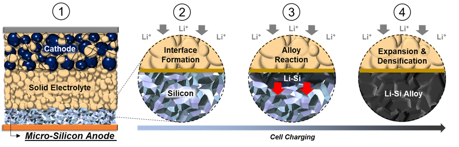 From left: 1) The all solid-state battery consists of a cathode composite layer, a sulfide solid electrolyte layer, and a carbon free micro-silicon anode. 2) Before charging, discrete micro-scale Silicon particles make up the energy dense anode. During battery charging, positive Lithium ions move from the cathode to the anode, and a stable 2D interface is formed. 3) As more Lithium ions move into the anode, it reacts with micro-Silicon to form interconnected Lithium-Silicon alloy (Li-Si) particles. The reaction continues to propagate throughout the electrode. 4) The reaction causes expansion and densification of the micro-Silicon particles, forming a dense Li-Si alloy electrode. The mechanical properties of the Li-Si alloy and the solid electrolyte have a crucial role in maintaining the integrity and contact along the 2D interfacial plane. @ UC San Diego