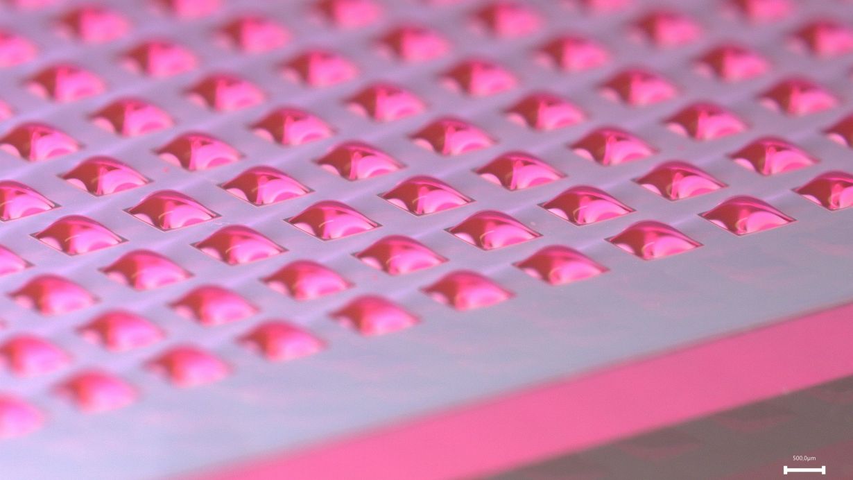 With 200 nanoliters per droplet, up to 1,000 experiments can be conducted on a single chip. The size and number can be further customized. @ Liana Bauer, KIT