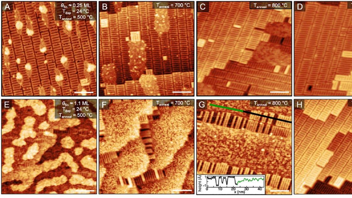 Experimental Scanning Tunneling Microscopy (STM) images of Sn adsorption, diffusion, incorporation, and desorption onto Nb. @ Cornell University