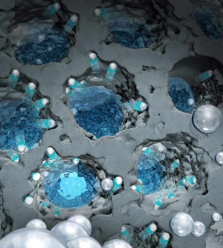Silver nanoparticles are able to drill nanochannels in macroporous silicon and thus to hierarchically porosify silicon on the wafer scale. The graphics presents the real porous material combined with an illustration of the porosification process, i.e. the chemical etching and thus pore formation along the trajectories of self-propelled, catalytically acting silver particles under the development of hydrogen bubbles in aqueous solution. @ DESY/TUHH, Huber group