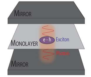 Microcavities are micrometre-scale structures with an optical medium sandwiched between ultra-reflective mirrors, used to confine light such that it forms exciton-polaritons. @ FLEET