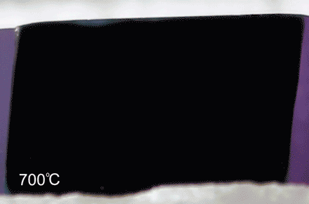 By using carbon nanotubes as a scaffold, MIT engineers grow forests of “white graphene” that emerge (in MIT pattern) after burning away the black carbon scaffold. @ MIT