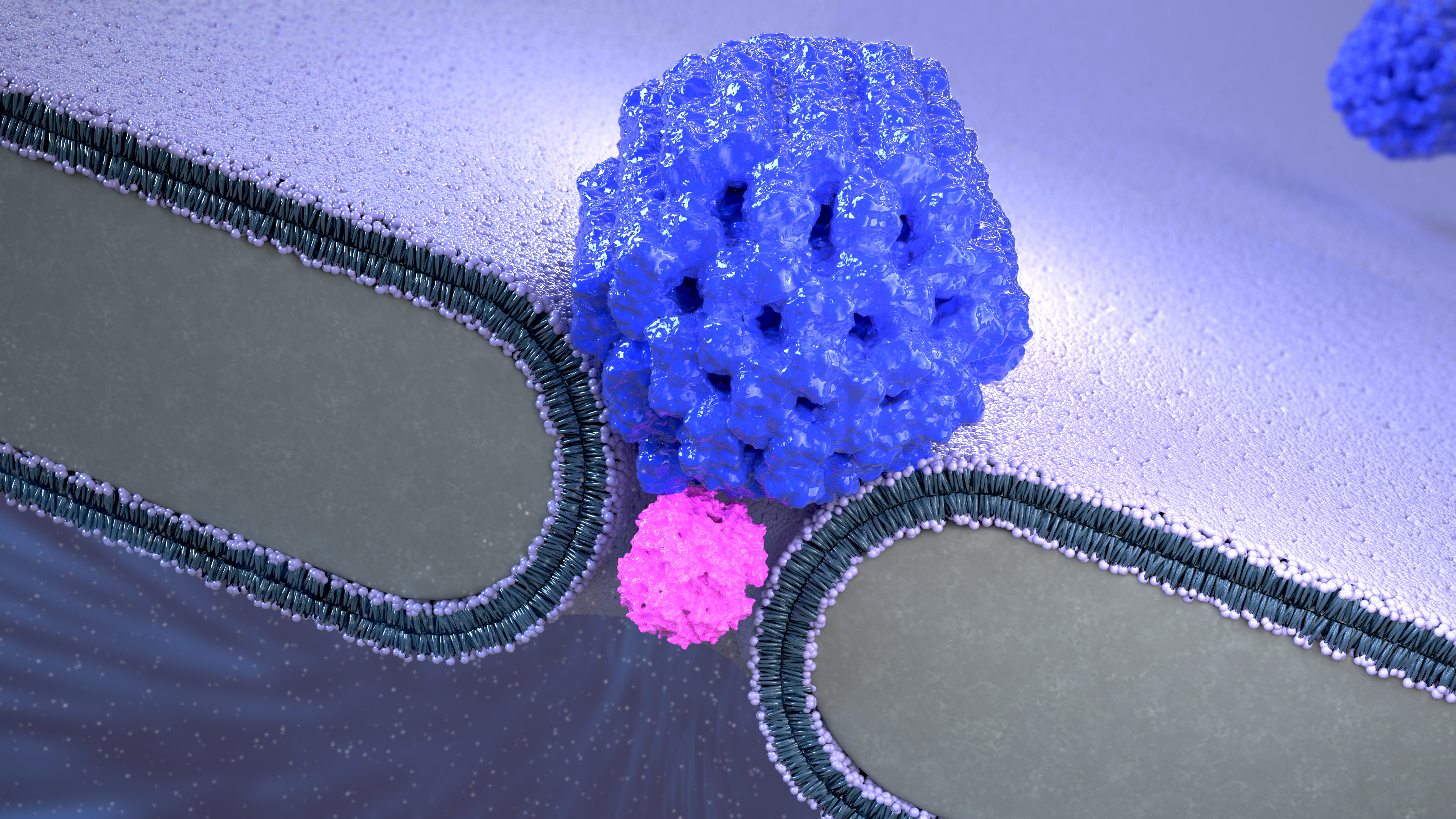 Artist impression of the Nanopore Electro-Osmotic trap (NEOtrap) – a new method for analyzing individual molecules. A DNA-origami nanoball covers a solid nanohole, allowing it to trap individual unmodified protein molecules, enabling hour-long conformation-sensitive analyses. @ Cees Dekker Lab / SciXel