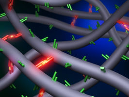 UVA-led discovery challenges 30-year-old dogma in associative polymers research