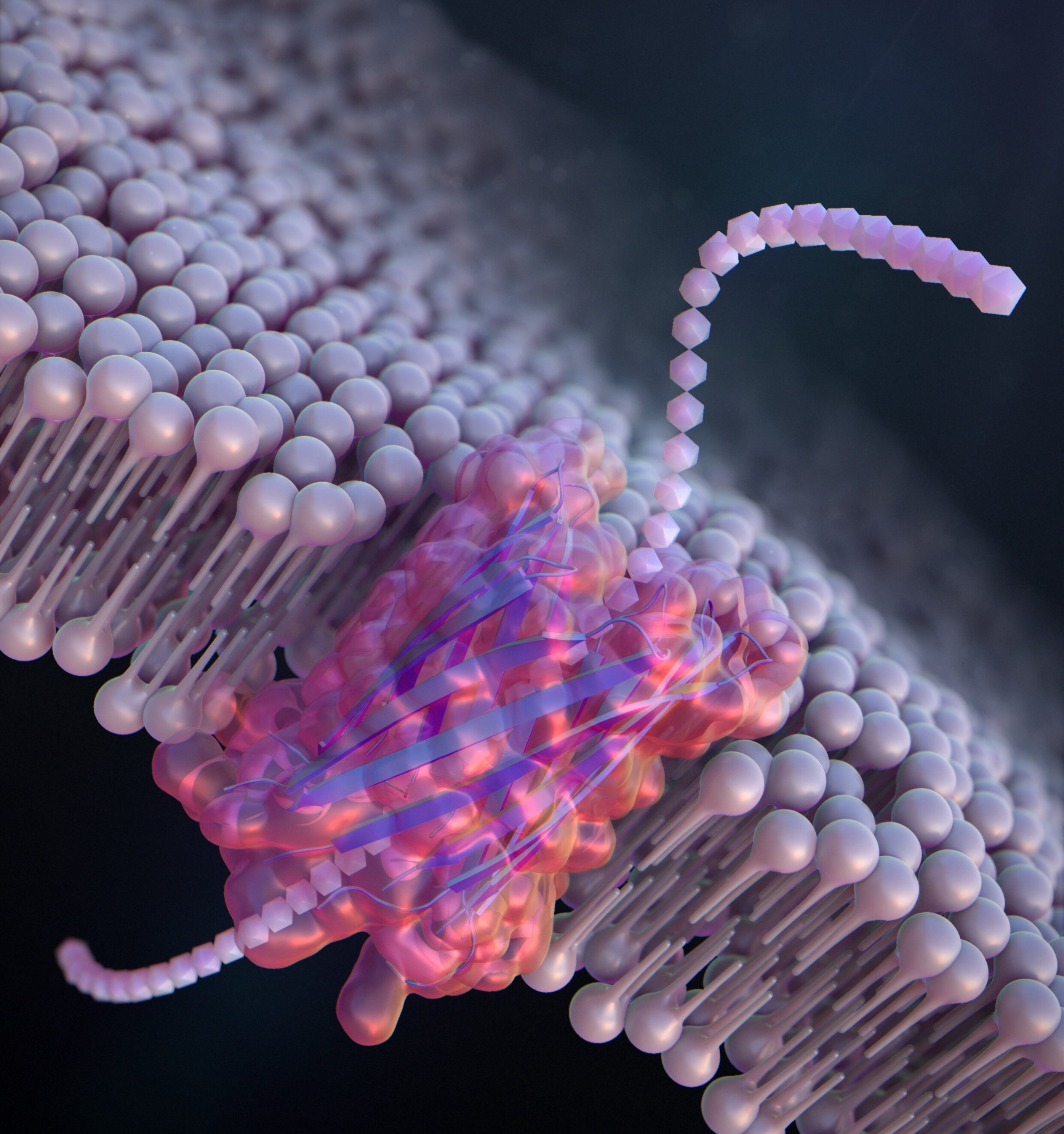 De novo design of a nanopore for single-molecule detection that incorporates a β-hairpin peptide. @ Ryuji Kawano, Tokyo University of Agriculture and Technology