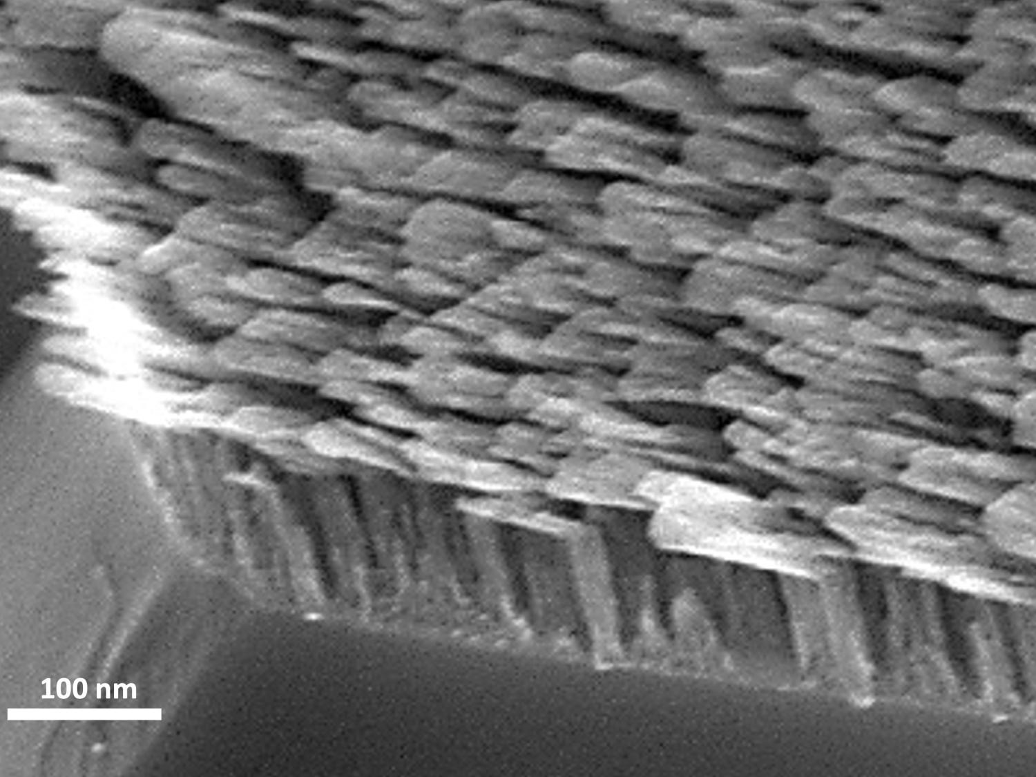 Researchers fabricated an optical element that uses a forest of tiny, antenna-like nanorods, seen here, that together create a metamaterial able to control the spin of light. The metamaterial nanorods appear to be shaped like the letter “L” when seen at the nanoscale. @ Christos Argyopoulos
