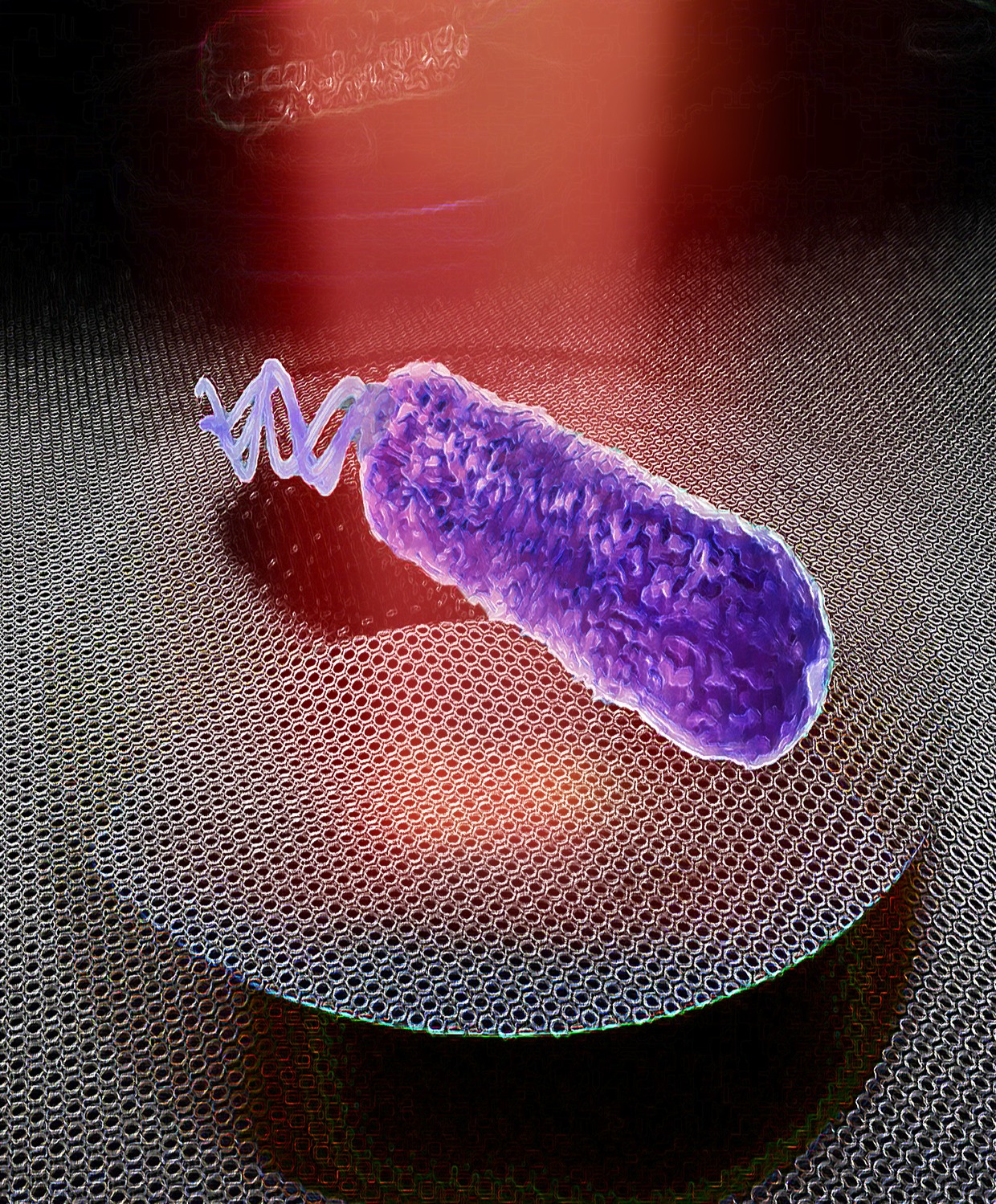 Artist’s impression of a graphene drum detecting nanomotion of a single bacterium @ Irek Roslon, TU Delft