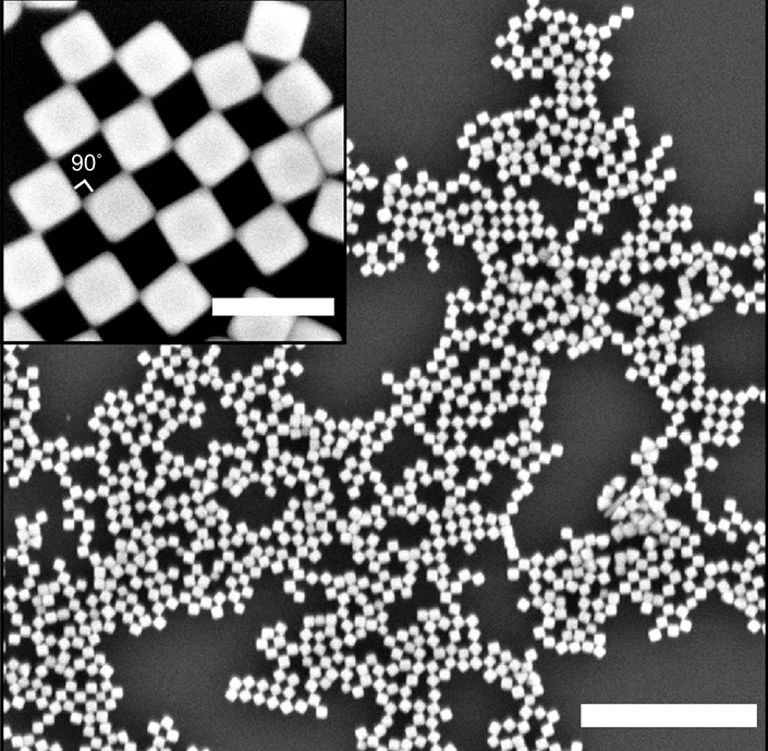 SEM image of a checkerboard pattern created by self-assembly of the nanocubes. Scale bar = 500 nm, inset = 100 nm. @ Wang et al., Nature Communications