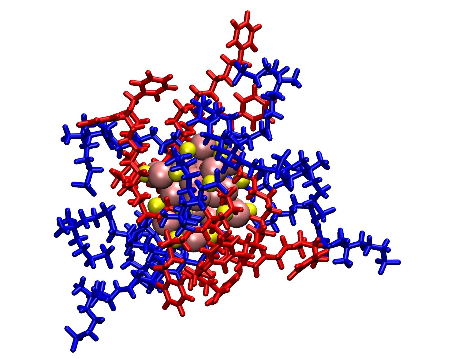 The gold nanoclusters in their "molecular envelope." The ligands in blue are the zwitterionic ones while those in red are positively charged ones. They are bound to the Au25 cluster (in brown) via thiol molecules (yellow). @ University of Leeds