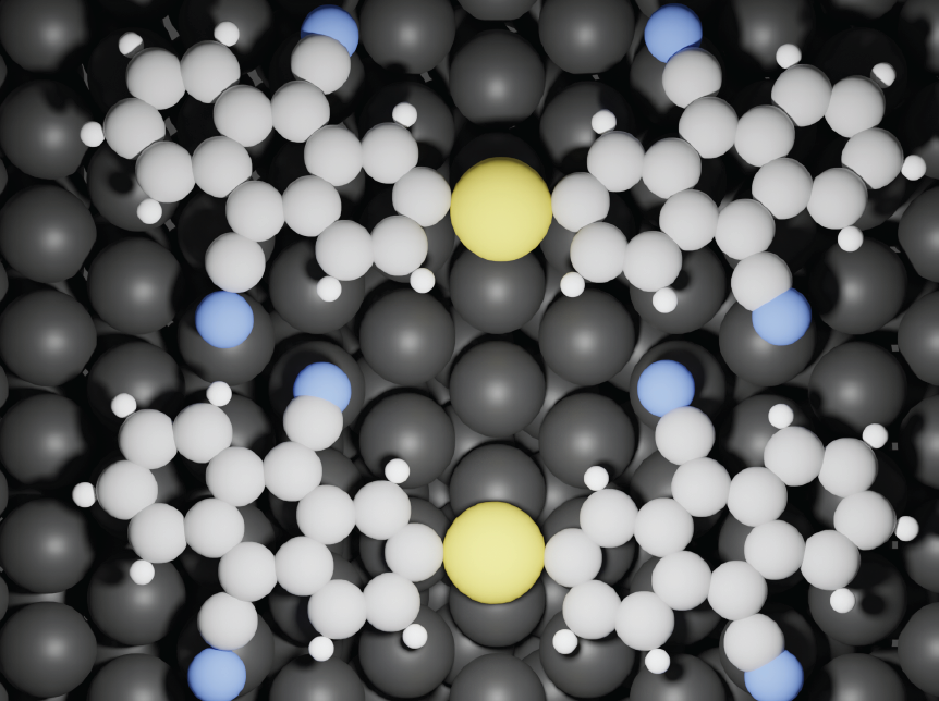 Gold atoms provide a low-energy reaction route, allowing breaking of C-H bonds at room temperature, and formation of covalently bonded DCA-Au-DCA structures. Grey: C, white: H, blue: N, black: Ag (surface), yellow: Au. @ FLEET