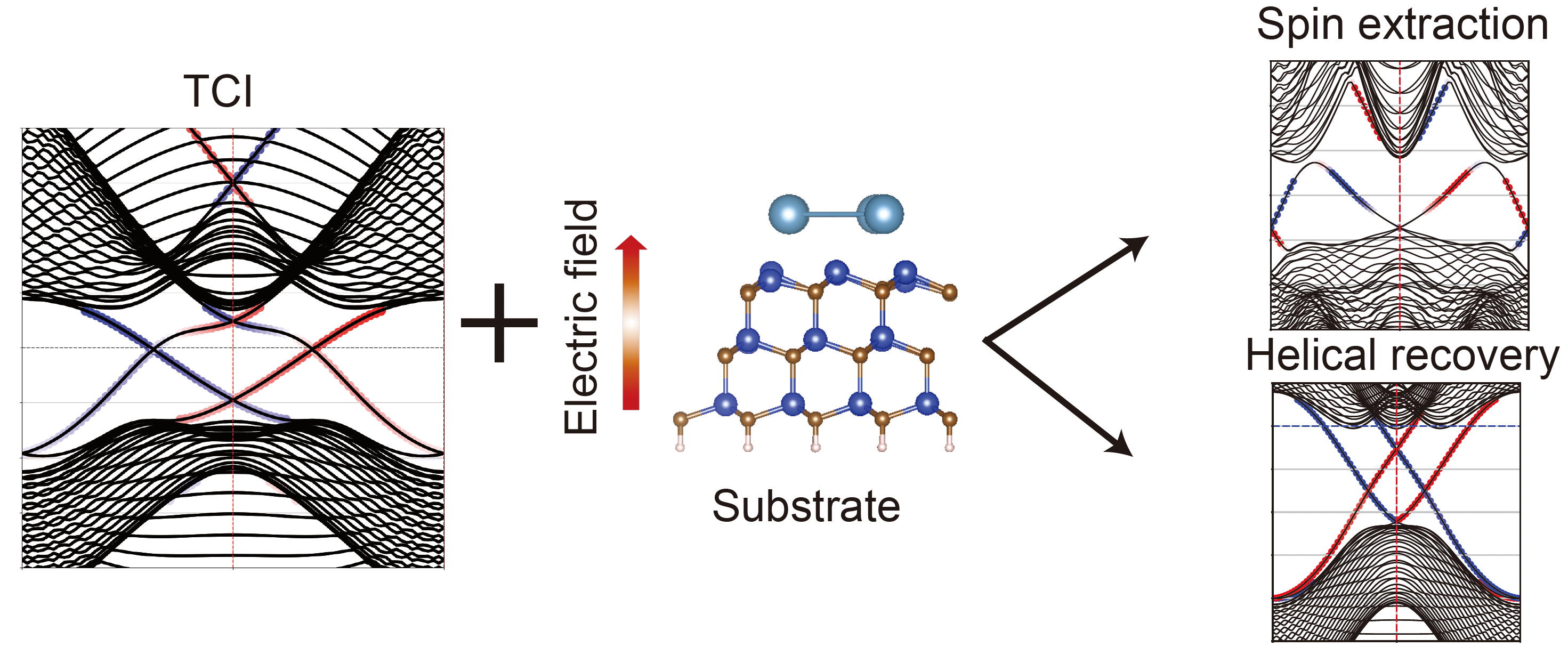 Bulk-edge interactions to tune the edge spin texture of TCI planar bismuthene. @ Dr Yuefeng Yin